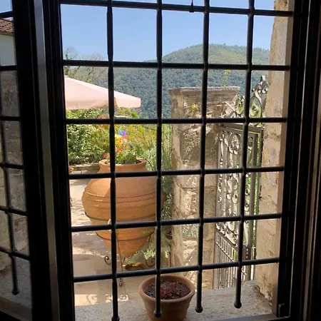 Thalia Traditional 3*